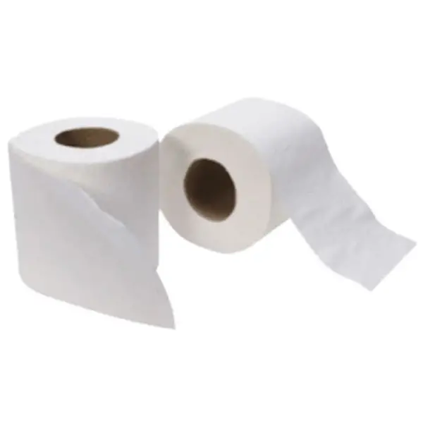 PAPIER HYGIENIQUE PASTEL