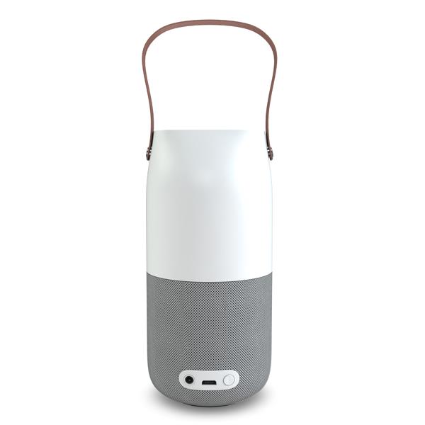 HAUT PARLEUR SAMSUNG G710