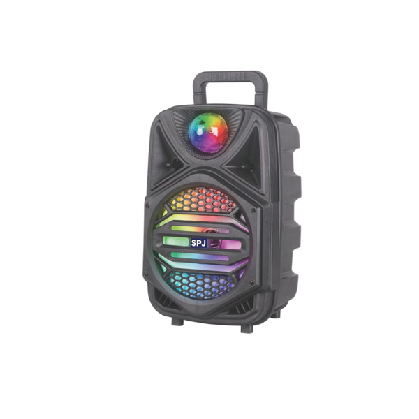 SUBWOOFER SPJ TL-8I01T