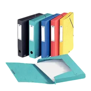 BOITE DE CLASSEMENT EUROBOX POLYPRO DOS 25CM PREMIER 504525A