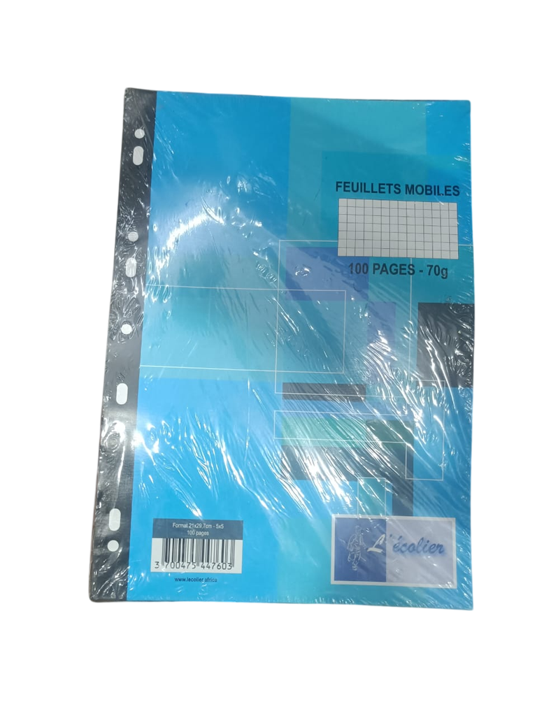 COPIE DOUBLE A4 PERFORÉES 200P 70G ECOLIER 44757