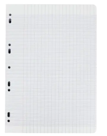 FEUILLE MOBILE A4 5/5 PERFOREE 100P BLANC ALIZE