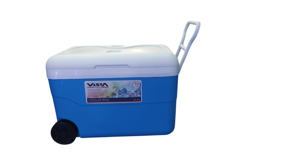 GLACIERE WCB120A4 (120L)