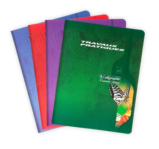 [STO:CAHI-01853] CAHIER TP 17*22 96P CALLIGRAPHE REF 2592C