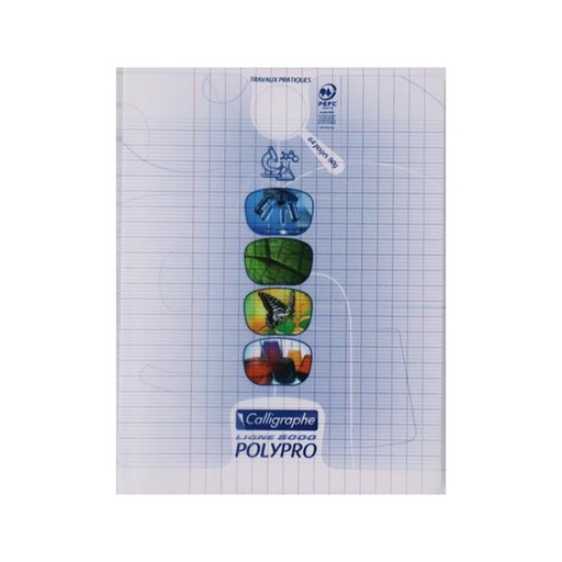 [STO:CAHI-01859] CAHIER TP 17*22 96P 90G POLYPRO CALLIGRAPHE REF18185C