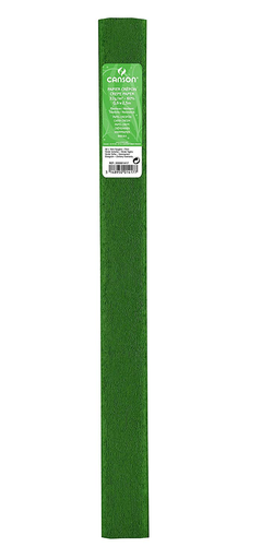 [STO:PAPI-07106] PAPIER CRÉPON 500*250 CANSON VERT FOUGERE